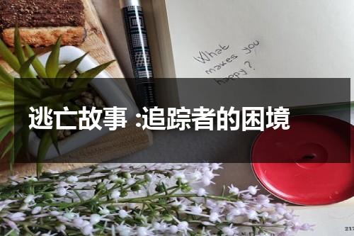 逃亡故事 :追踪者的困境（最经典的逃亡追杀小说）-第1张图片-九妖电影