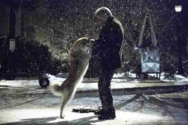 忠犬八公的故事 Hachi- A Dog's Tale-第5张图片-九妖电影