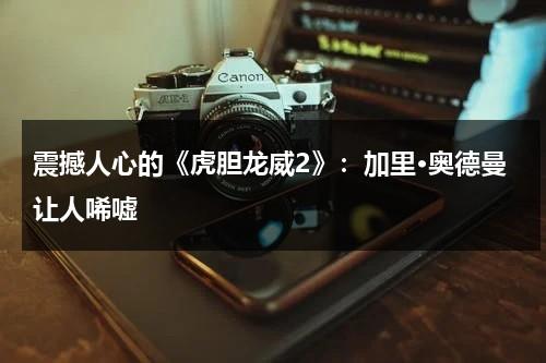 震撼人心的《虎胆龙威2》：加里·奥德曼让人唏嘘（虎胆龙威3原声大碟）-第1张图片-九妖电影