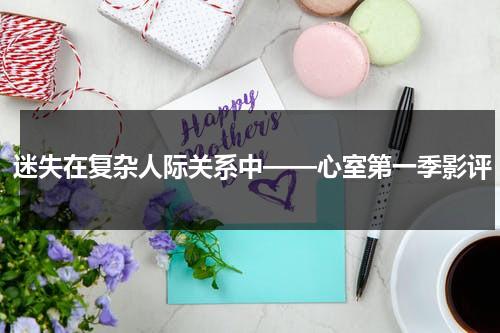 迷失在复杂人际关系中——心室第一季影评（心室心房图示）-第1张图片-九妖电影