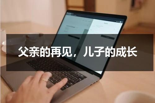 父亲的再见，儿子的成长（父亲在儿子成长中扮演的角色）-第1张图片-九妖电影