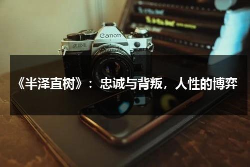 《半泽直树》：忠诚与背叛，人性的博弈（半泽直树2超清）-第1张图片-九妖电影