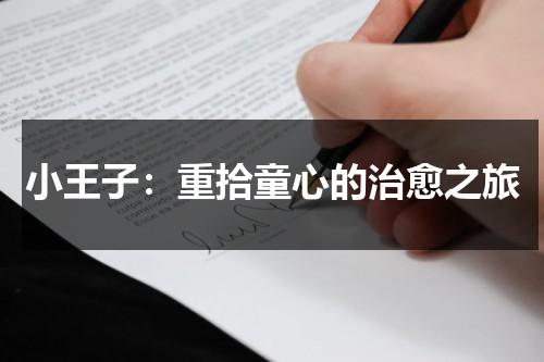 小王子：重拾童心的治愈之旅（小王子眼睛是看不到的）-第1张图片-九妖电影