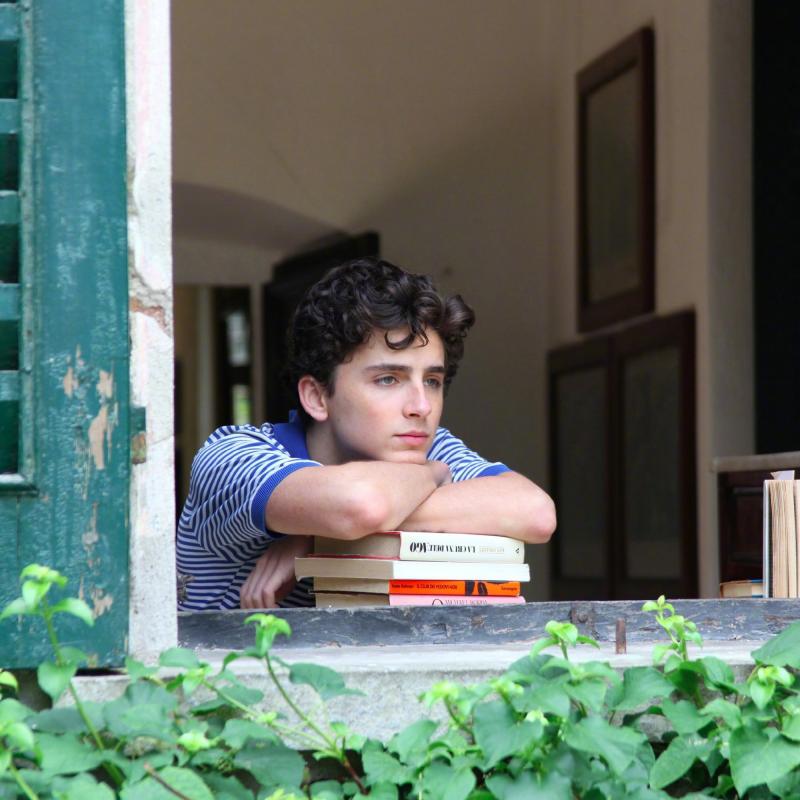 请以你的名字呼唤我 Call Me by Your Name-第3张图片-九妖电影