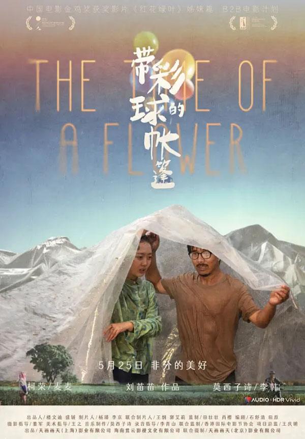 带彩球的帐篷 The Time of A Flower-第1张图片-九妖电影 带彩球的帐篷 The Time of A Flower-第1张图片-九妖电影