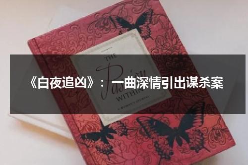 《白夜追凶》：一曲深情引出谋杀案（白夜追凶原型案件是哪一集）-第1张图片-九妖电影