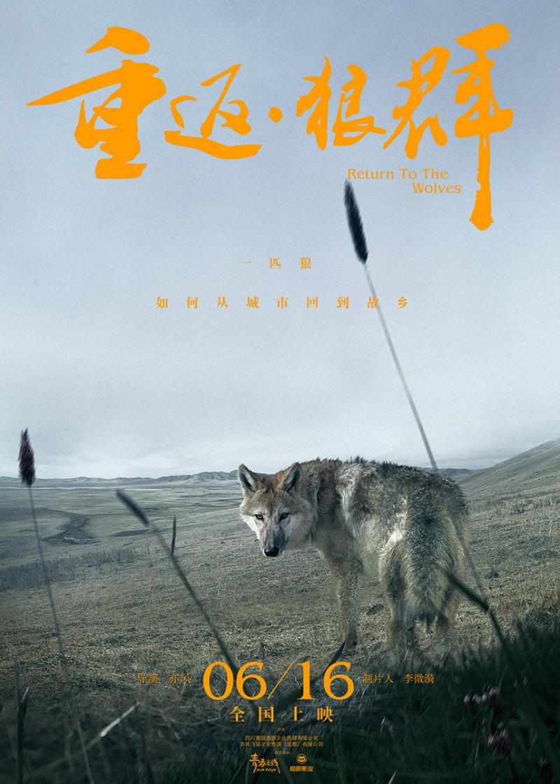重返&amp;#183;狼群 Return To The Wolves-第2张图片-九妖电影