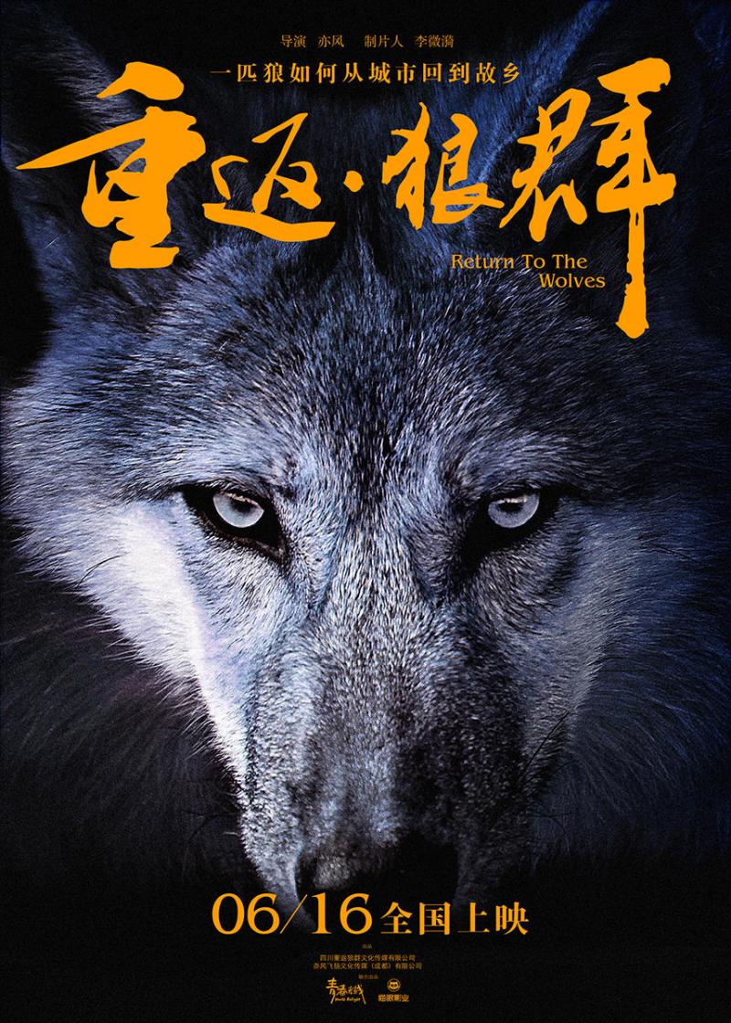 重返&amp;#183;狼群 Return To The Wolves-第3张图片-九妖电影