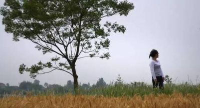 在摇晃的列车上3未删减纪录片 - 真实记录列车生活的纪实片段 引领观众感受独特的旅程与故事-第1张图片-九妖电影
