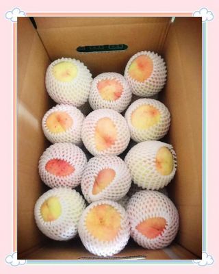 鲁中山区小山村的蜜桃美味揭秘 揄揄鲁精品一区二深受喜爱 透析乡村蜜桃品质与种植魅力-第1张图片-九妖电影