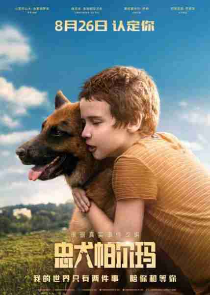 忠犬帕尔玛 Пальма-第2张图片-九妖电影