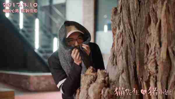 猫先生与猪小姐 Funny Love-第5张图片-九妖电影