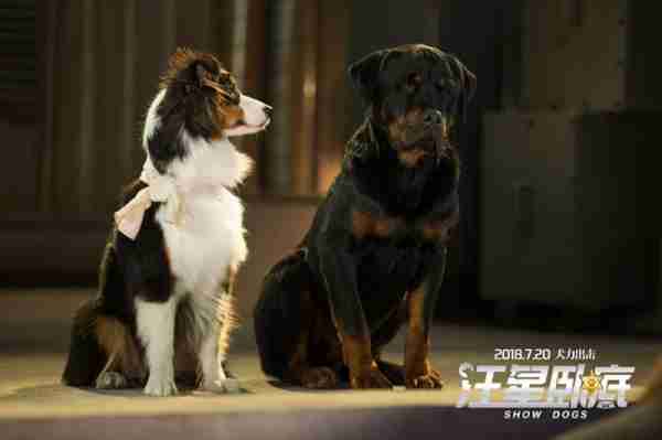 汪星卧底 Show Dogs-第5张图片-九妖电影
