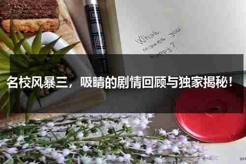 名校风暴三，吸睛的剧情回顾与独家揭秘！（名校风暴哪一集）-第1张图片-九妖电影