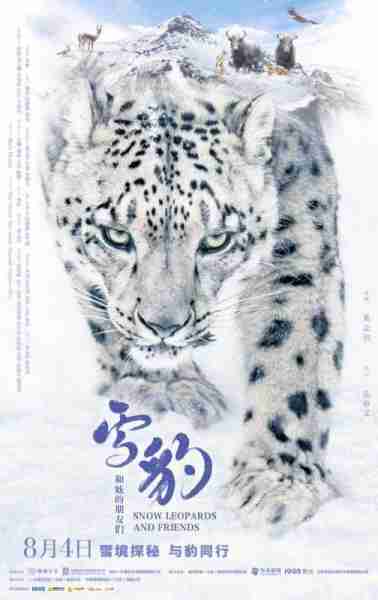雪豹和她的朋友们 Snow Leopards and Friends-第1张图片-九妖电影