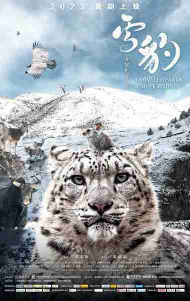雪豹和她的朋友们 Snow Leopards and Friends-第4张图片-九妖电影