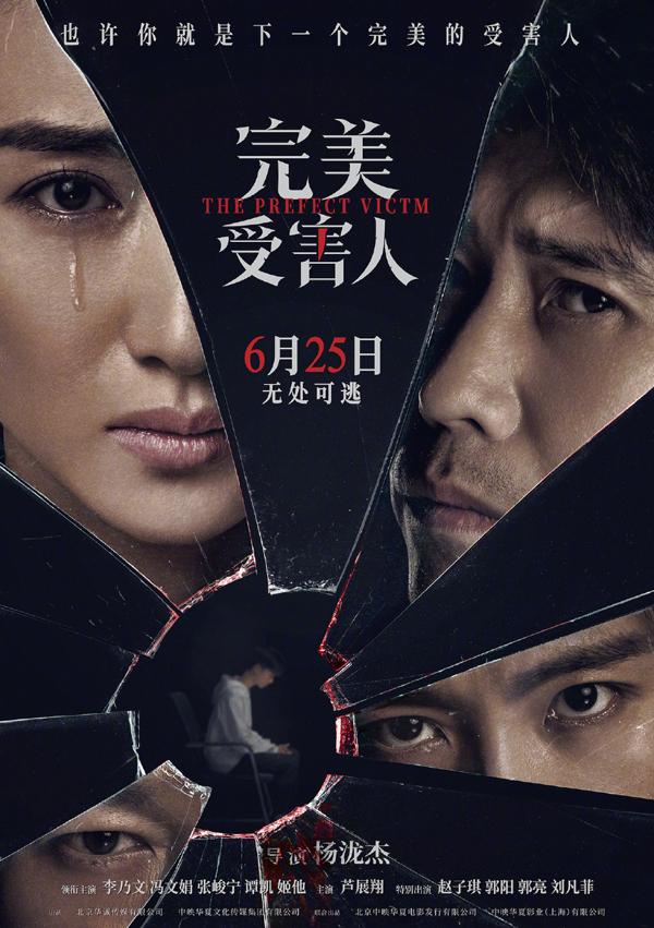 完美受害人 The perfect Victim-第2张图片-九妖电影