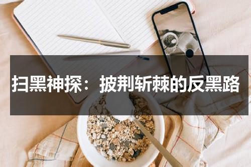 扫黑神探：披荆斩棘的反黑路（港剧扫黑剧情介绍）-第1张图片-九妖电影