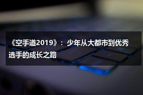 《空手道2019》：少年从大都市到优秀选手的成长之路（空手道比赛现场）-第1张图片-九妖电影