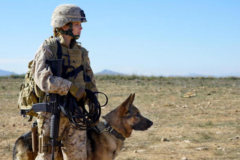 战犬瑞克斯 Megan Leavey-第3张图片-九妖电影