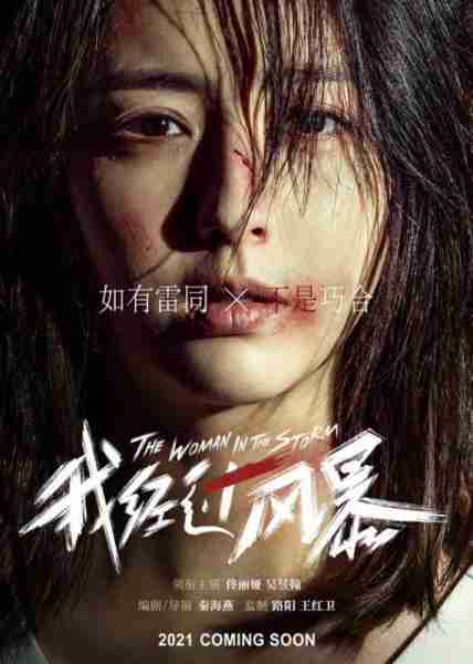 我经过风暴 The Woman in the Storm-第3张图片-九妖电影