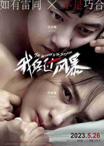 我经过风暴 The Woman in the Storm-第2张图片-九妖电影