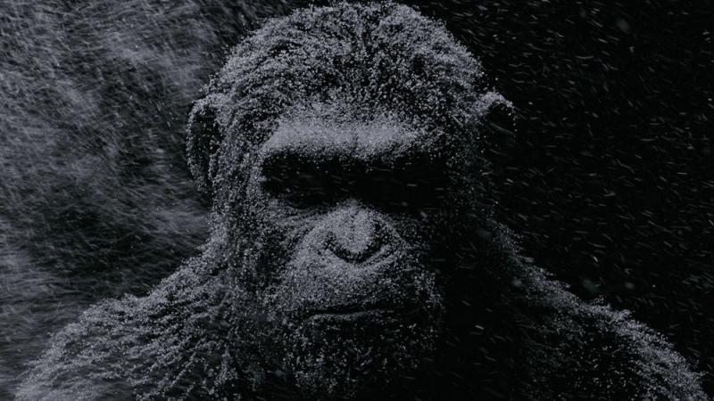 猩球崛起3：终极之战 War for the Planet of the Apes-第4张图片-九妖电影