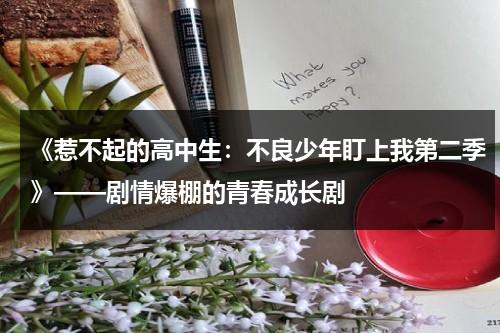 《惹不起的高中生：不良少年盯上我第二季》——剧情爆棚的青春成长剧（不良少年盯上我了演员表）-第1张图片-九妖电影