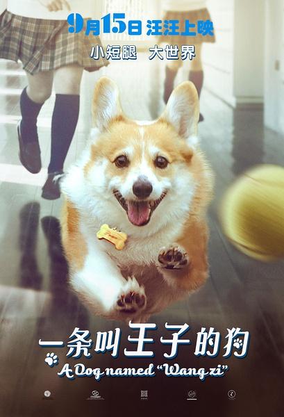 一条叫王子的狗 A Dog Named “Wang Zi-第1张图片-九妖电影 一条叫王子的狗 A Dog Named “Wang Zi-第1张图片-九妖电影