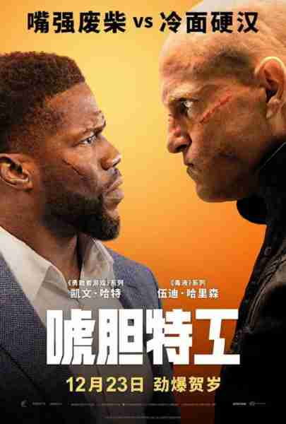 唬胆特工 The Man from Toronto-第3张图片-九妖电影