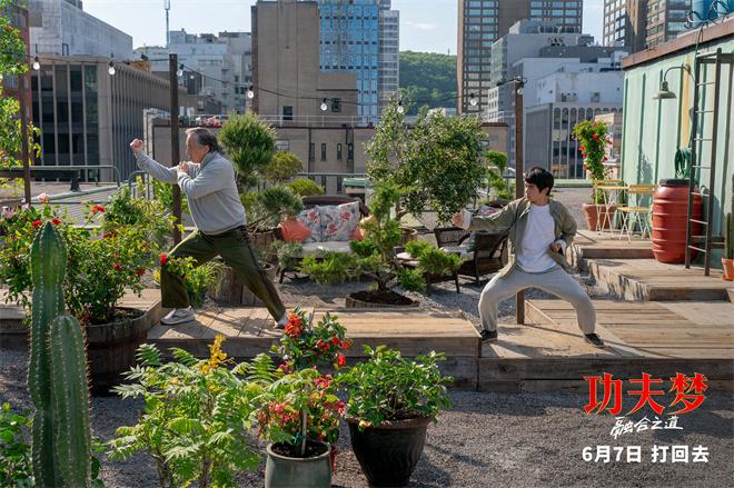 71岁成龙传武授道！《功夫梦：融合之道》6.7上映（成龙功夫梦电影国语在线观看免费）-第4张图片-九妖电影