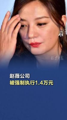 赵薇与老公黄有龙的商界风波，曾是市长司机如今人脉广泛的他为何备受关注-第1张图片-九妖电影