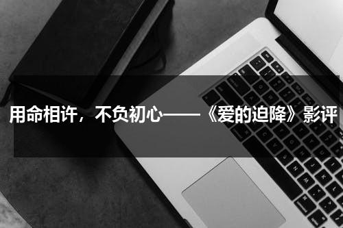 用命相许，不负初心——《爱的迫降》影评（爱的迫降结局是啥）-第1张图片-九妖电影