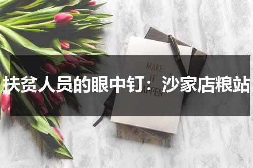 扶贫人员的眼中钉：沙家店粮站（沙家店粮站简介）-第1张图片-九妖电影