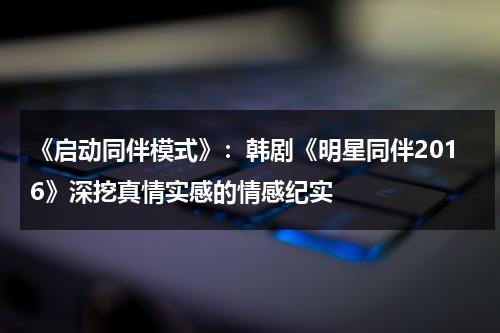 《启动同伴模式》：韩剧《明星同伴2016》深挖真情实感的情感纪实（关于启的成语有哪些）-第1张图片-九妖电影