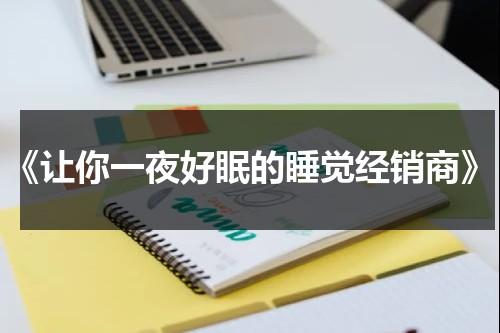 《让你一夜好眠的睡觉经销商》（我让你一晚上都睡不着）-第1张图片-九妖电影