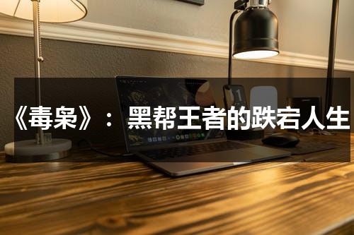 《毒枭》：黑帮王者的跌宕人生（毒枭2女毒枭大嫂是谁）-第1张图片-九妖电影