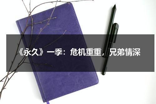 《永久》一季：危机重重，兄弟情深（永久永远的近义词）-第1张图片-九妖电影