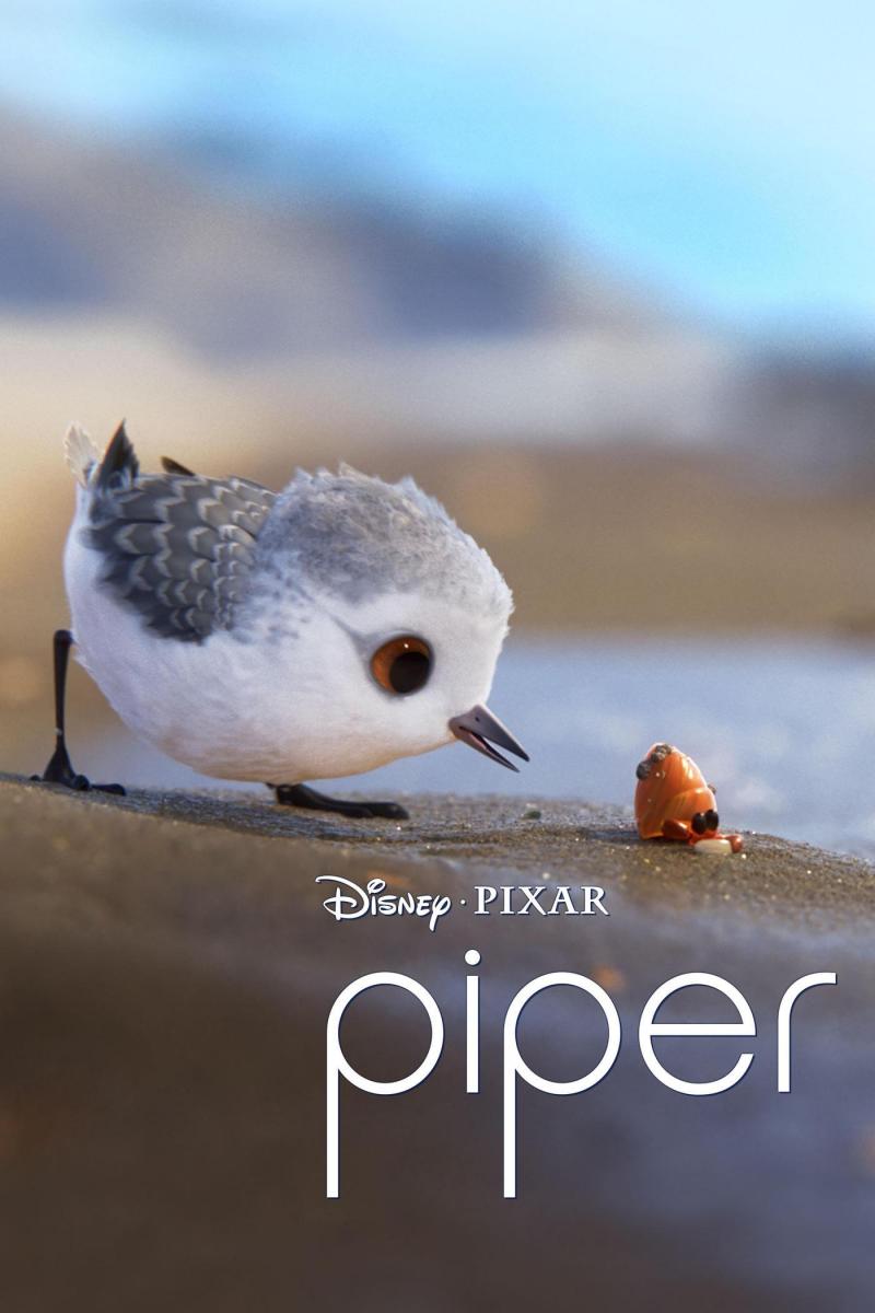 鹬 Piper-第1张图片-九妖电影 鹬 Piper-第1张图片-九妖电影