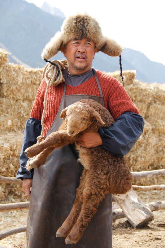 血狼犬 The Blood Hound-第2张图片-九妖电影