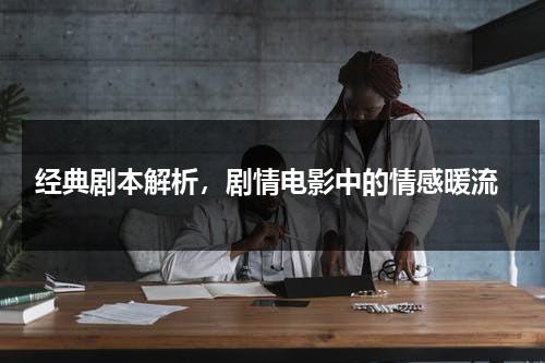 经典剧本解析，剧情电影中的情感暖流（电影剧本分析范例）-第1张图片-九妖电影