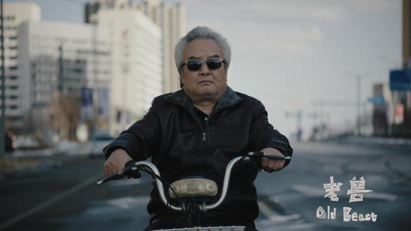 老兽 Old Beast-第2张图片-九妖电影