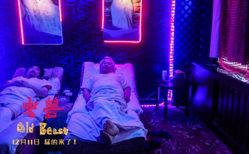 老兽 Old Beast-第3张图片-九妖电影