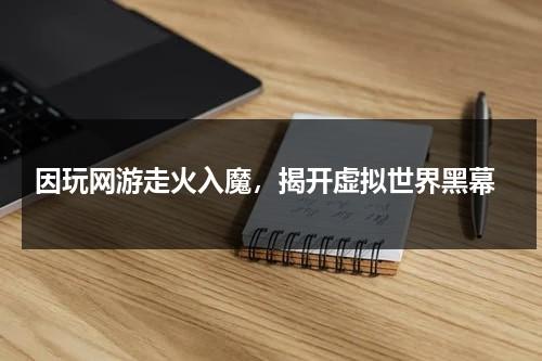 因玩网游走火入魔，揭开虚拟世界黑幕（虚拟网游目前开发出来了吗）-第1张图片-九妖电影