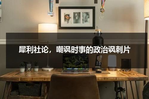 犀利社论，嘲讽时事的政治讽刺片（犀利形容人）-第1张图片-九妖电影