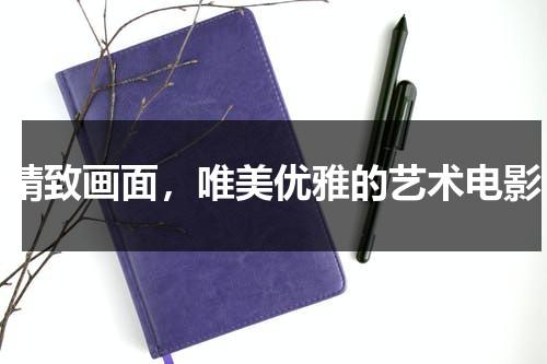 精致画面，唯美优雅的艺术电影（画面很唯美的电影排名）-第1张图片-九妖电影