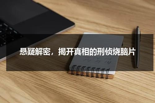 悬疑解密，揭开真相的刑侦烧脑片（悬疑烧脑解密电影）-第1张图片-九妖电影