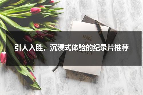 引人入胜，沉浸式体验的纪录片推荐（沉浸式实景剧场）-第1张图片-九妖电影