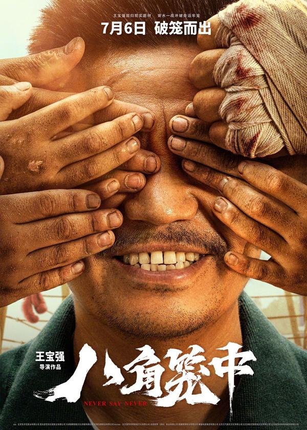 八角笼中 Never Say Never-第2张图片-九妖电影