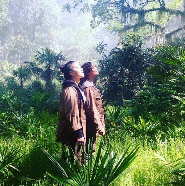 湮灭 Annihilation-第2张图片-九妖电影